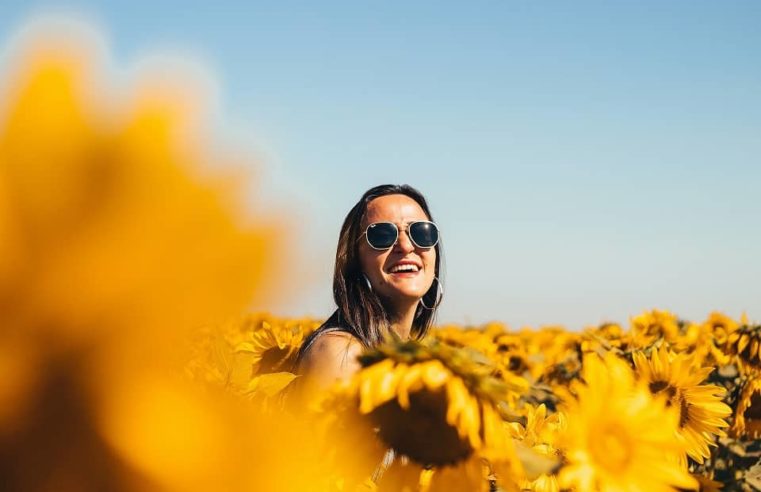 Sunflower field photoshoot outfit ideas